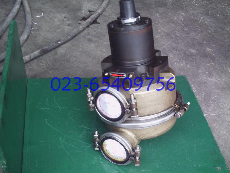 康明斯海水泵3049157